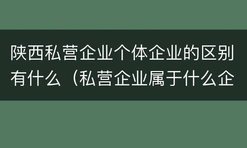 陕西私营企业个体企业的区别有什么（私营企业属于什么企业）
