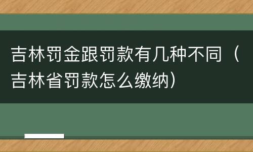 吉林罚金跟罚款有几种不同（吉林省罚款怎么缴纳）