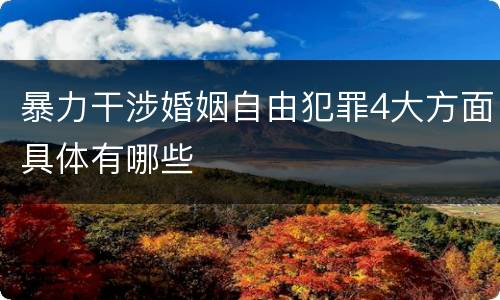 暴力干涉婚姻自由犯罪4大方面具体有哪些