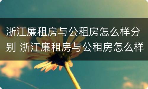 浙江廉租房与公租房怎么样分别 浙江廉租房与公租房怎么样分别出租