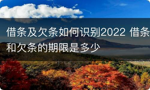 借条及欠条如何识别2022 借条和欠条的期限是多少