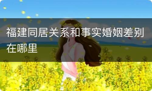 福建同居关系和事实婚姻差别在哪里