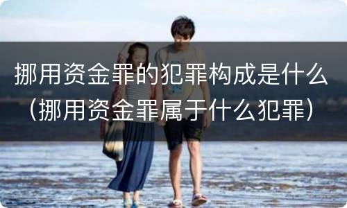 挪用资金罪的犯罪构成是什么（挪用资金罪属于什么犯罪）