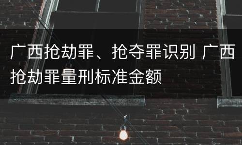 广西抢劫罪、抢夺罪识别 广西抢劫罪量刑标准金额