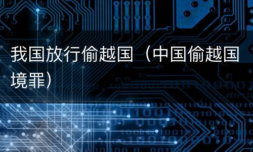 我国放行偷越国（中国偷越国境罪）