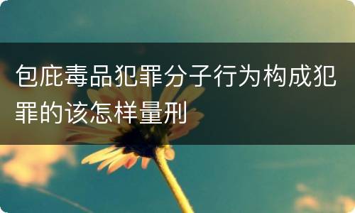 包庇毒品犯罪分子行为构成犯罪的该怎样量刑