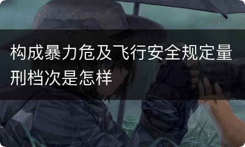 构成暴力危及飞行安全规定量刑档次是怎样
