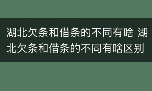 湖北欠条和借条的不同有啥 湖北欠条和借条的不同有啥区别吗
