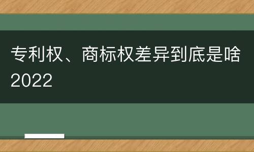 专利权、商标权差异到底是啥2022