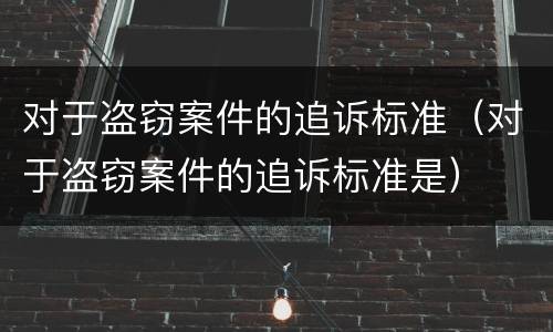 对于盗窃案件的追诉标准（对于盗窃案件的追诉标准是）