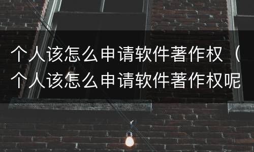 个人该怎么申请软件著作权（个人该怎么申请软件著作权呢）