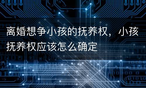 离婚想争小孩的抚养权，小孩抚养权应该怎么确定
