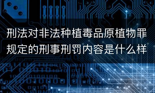 刑法对非法种植毒品原植物罪规定的刑事刑罚内容是什么样的