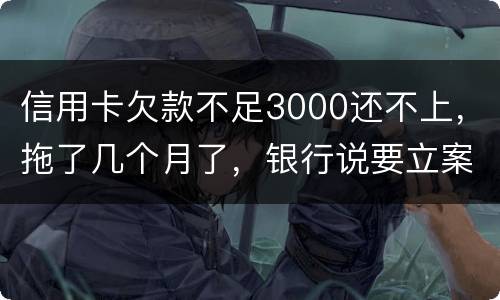 信用卡欠款不足3000还不上，拖了几个月了，银行说要立案，会坐牢吗