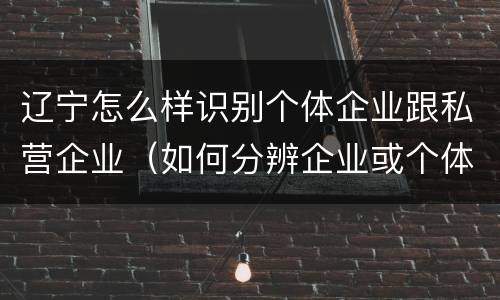 辽宁怎么样识别个体企业跟私营企业（如何分辨企业或个体）