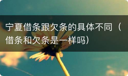 宁夏借条跟欠条的具体不同（借条和欠条是一样吗）