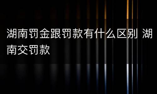 湖南罚金跟罚款有什么区别 湖南交罚款