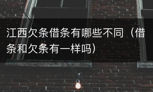 江西欠条借条有哪些不同（借条和欠条有一样吗）