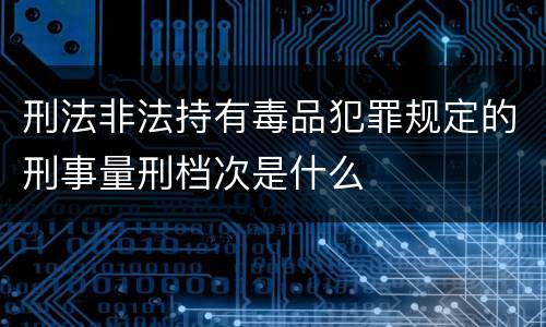 刑法非法持有毒品犯罪规定的刑事量刑档次是什么