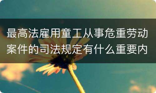 最高法雇用童工从事危重劳动案件的司法规定有什么重要内容