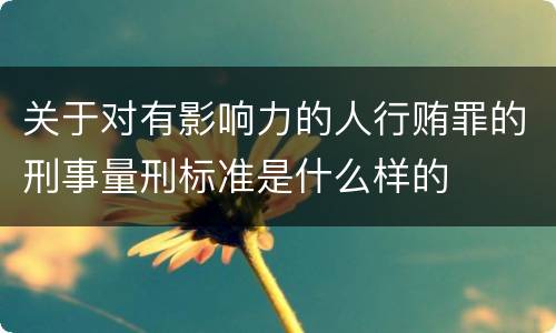 关于对有影响力的人行贿罪的刑事量刑标准是什么样的