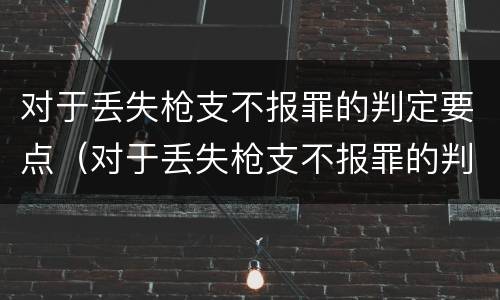 对于丢失枪支不报罪的判定要点（对于丢失枪支不报罪的判定要点有哪些）