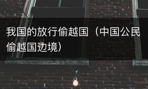 我国的放行偷越国（中国公民偷越国边境）