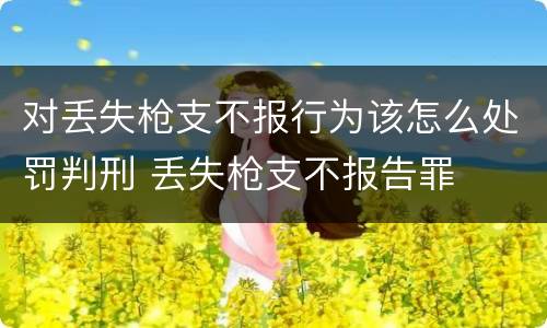 对丢失枪支不报行为该怎么处罚判刑 丢失枪支不报告罪