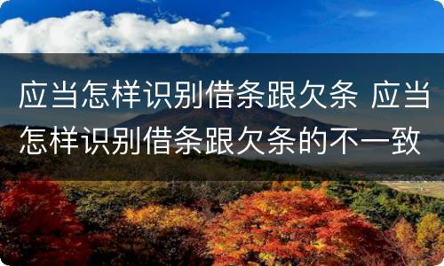 应当怎样识别借条跟欠条 应当怎样识别借条跟欠条的不一致