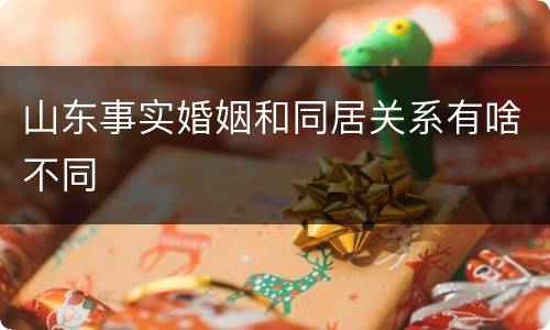 山东事实婚姻和同居关系有啥不同