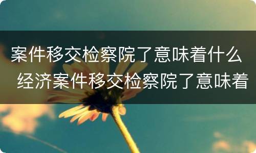 案件移交检察院了意味着什么 经济案件移交检察院了意味着什么