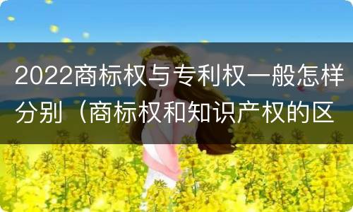 2022商标权与专利权一般怎样分别（商标权和知识产权的区别）