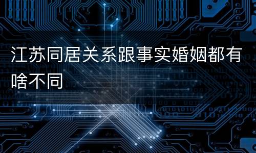 江苏同居关系跟事实婚姻都有啥不同