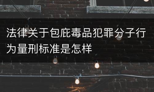 法律关于包庇毒品犯罪分子行为量刑标准是怎样