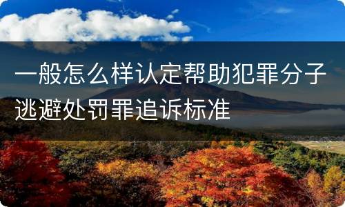 一般怎么样认定帮助犯罪分子逃避处罚罪追诉标准