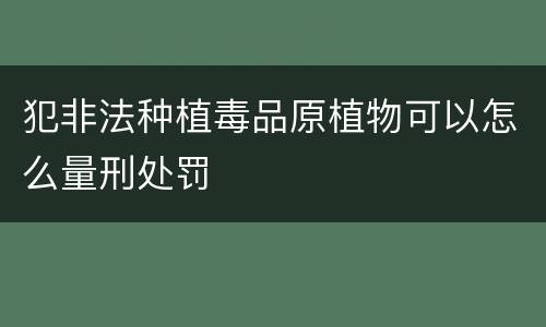 犯非法种植毒品原植物可以怎么量刑处罚