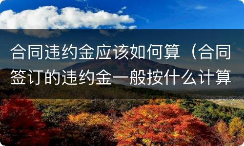 合同违约金应该如何算（合同签订的违约金一般按什么计算）