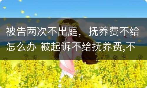 被告两次不出庭，抚养费不给怎么办 被起诉不给抚养费,不出庭会怎样?