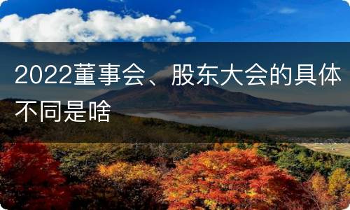 2022董事会、股东大会的具体不同是啥