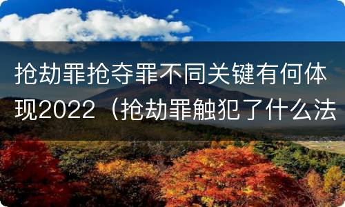 抢劫罪抢夺罪不同关键有何体现2022（抢劫罪触犯了什么法律）