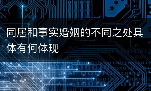 同居和事实婚姻的不同之处具体有何体现