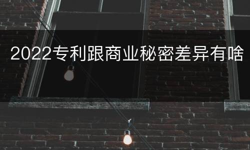 2022专利跟商业秘密差异有啥