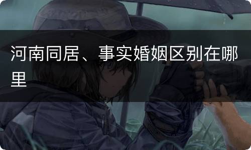 河南同居、事实婚姻区别在哪里