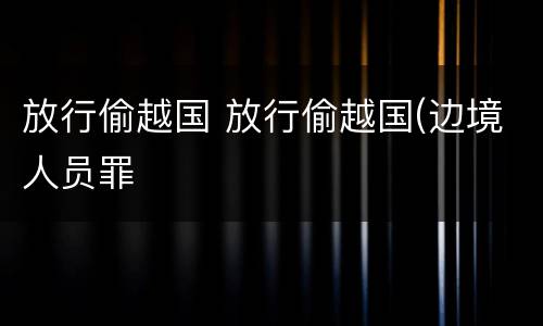 放行偷越国 放行偷越国(边境人员罪