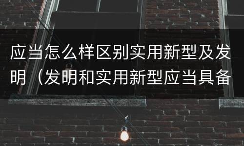 应当怎么样区别实用新型及发明（发明和实用新型应当具备的特点为）