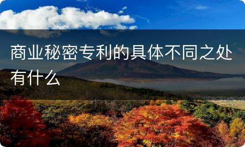 商业秘密专利的具体不同之处有什么