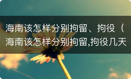 海南该怎样分别拘留、拘役（海南该怎样分别拘留,拘役几天）
