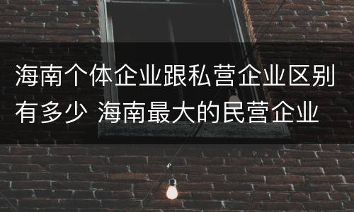海南个体企业跟私营企业区别有多少 海南最大的民营企业