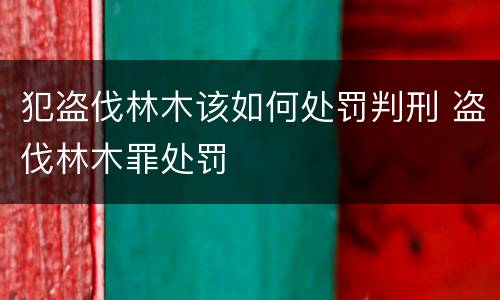 犯盗伐林木该如何处罚判刑 盗伐林木罪处罚