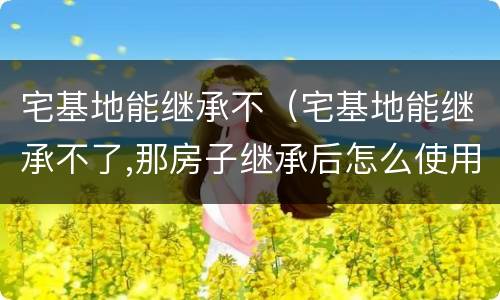 宅基地能继承不（宅基地能继承不了,那房子继承后怎么使用）